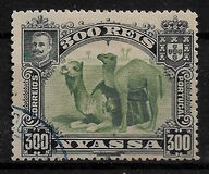 [Dromedary Camels, type D4]