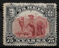 [Dromedary Camels, type D]