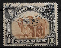 [Dromedary Camels, type D2]