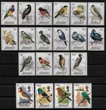 [Birds, Вид LM]