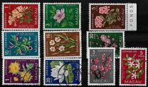 [Indigenous Flowers, type CI]
