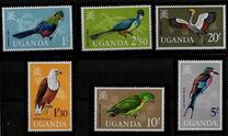 [Birds, tyyppi AG]