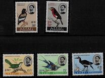 [Birds, type MU]