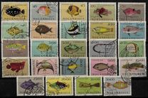 [Fish, Вид BY]