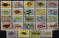 [Fish, Вид BY]