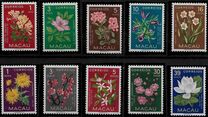 [Indigenous Flowers, type CI]