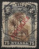 [Dromedary Camels, type D]