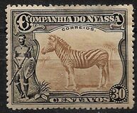[Zebra, type Q]