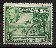 [Local Motives, type AX1]