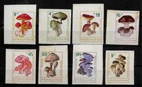 [Mushrooms - Imperforated, Tipo ANP1]