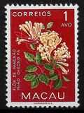 [Indigenous Flowers, type CI]