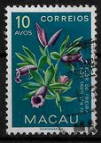 [Indigenous Flowers, type CL]