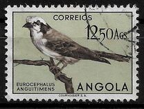 [Birds, Scrivi CG]