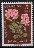 [Indigenous Flowers, Tipi CK]