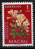 [Indigenous Flowers, Tipi CI]
