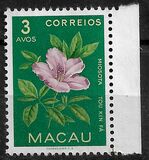 [Indigenous Flowers, Tipi CJ]