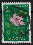 [Indigenous Flowers, Tipi CJ]