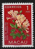 [Indigenous Flowers, Tipi CI]