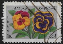 [Iranian New Year, Tipo BPD]