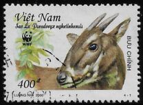 [Endangered Species - Saola, típus CCC]