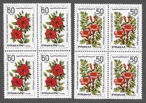[International Flower Show, Damascus, տեսակ AIL]