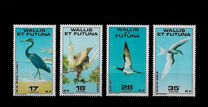 [Ocean Birds, tip FL]