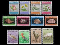 [Plants and Animals, Scrivi CD]
