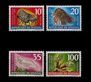 [Marine Crustaceans, type GZ]