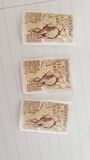 [Child Welfare - Birds, type QX]