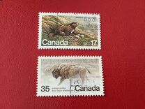 [Endangered Wildlife, type AAD]