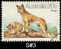 [Dogs, प्रकार TR]