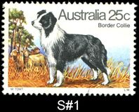 [Dogs, प्रकार TS]