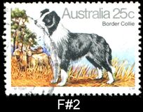 [Dogs, प्रकार TS]