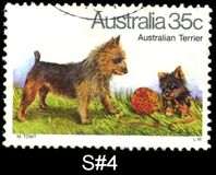 [Dogs, प्रकार TT]