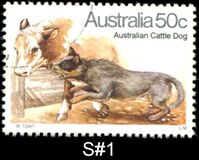 [Dogs, प्रकार TU]