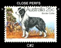 [Dogs, प्रकार TS]