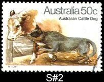 [Dogs, प्रकार TU]