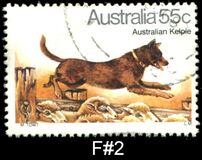 [Dogs, प्रकार TV]