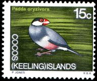[Decimal Currency - Animals of the Cocos Islands, type O]