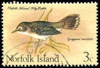 [Birds, type BT]