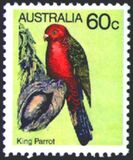 [Birds, Tipi TY]