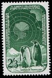 [Antarctic Research, Tipe E]