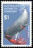 [Marine Life and Aircraft in the Service of Antarctic Research, type AH]