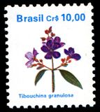 [Flowers - Issues of 1989 but with Currency expressed as "NCz $", tip CKF]
