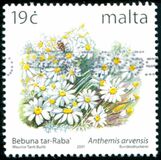 [Fauna - Maltese Flowers, 유형 AJW]