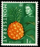 [Fruit & Vegetables with Portrait of Queen Elizabeth II, type BE]