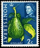 [Fruit & Vegetables with Portrait of Queen Elizabeth II, type BF]