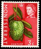 [Fruit & Vegetables with Portrait of Queen Elizabeth II, type BG]