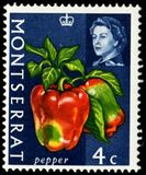 [Fruit & Vegetables with Portrait of Queen Elizabeth II, type BH]