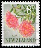 [Local Motifs - Flowers, тип GZ]